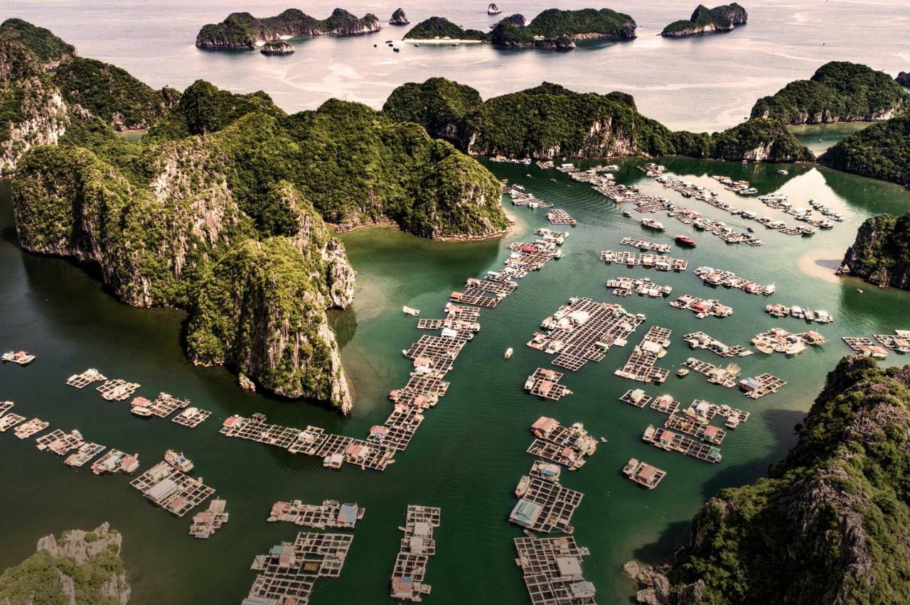 Heritage Line Ylang Cruise - Halong Bay & Lan Ha Bay Ha Long Bagian luar foto